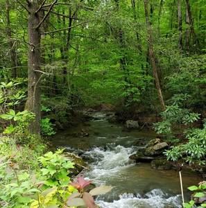 Meet your Posher, Glenna